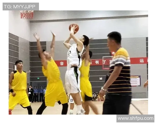宁夏与云南篮球明星的崛起与发展之路探秘
